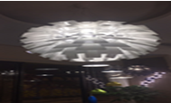 Pendant Lights