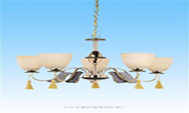 Pendant Lights