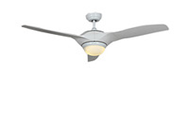 Pendant Lights