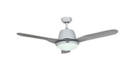 Pendant Lights