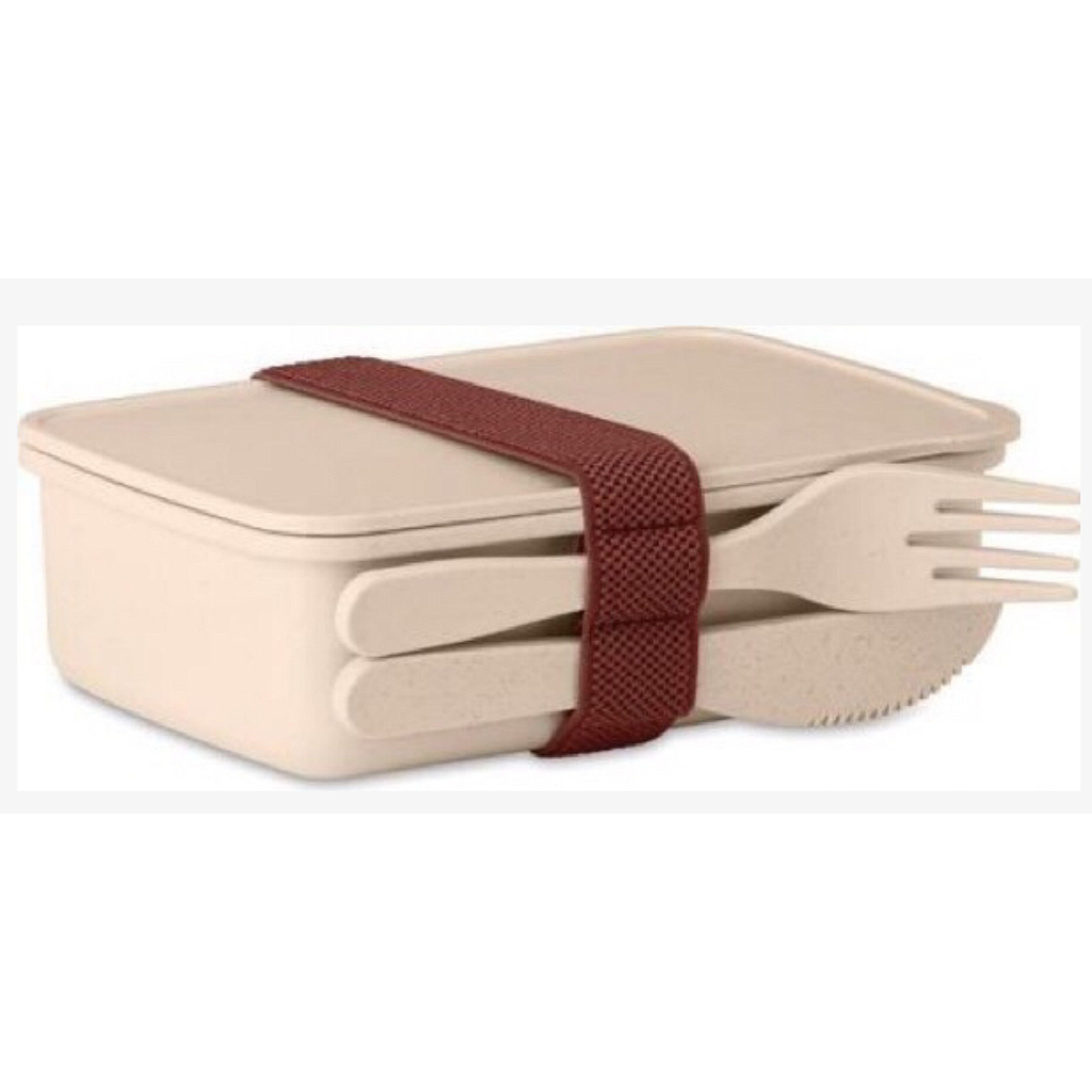 Customized Dinner Box,16*11*5cm,600ml