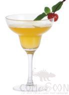 JB-PC Cocktail Glass 255ml