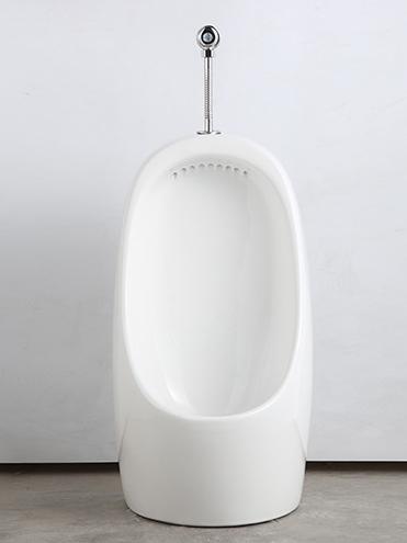 Hanging urinal