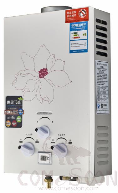 Flue Exhaust
Gas Water
Heater-14L