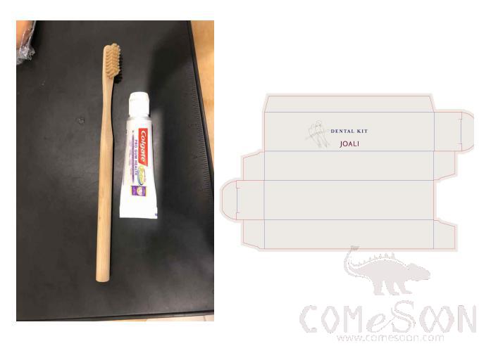 Dental Kit