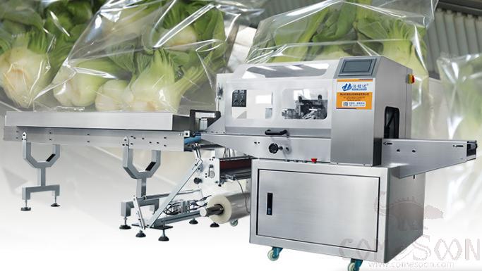 Automatic Vegetable Packing Machine 4380×970×1500（mm）