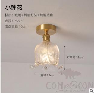 Ceiling light-D15*H11cm