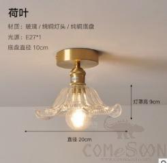 Ceiling light-D20*H9cm