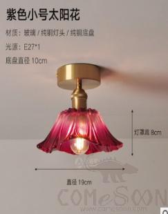 Ceiling light-D19*H8cm