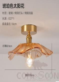 Ceiling light-D28*H13cm