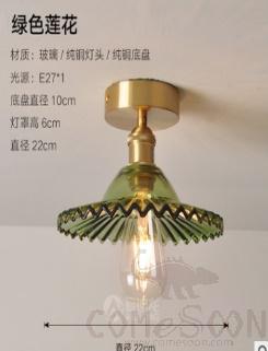 Ceiling light-D22cm
