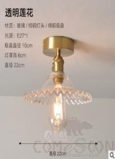 Ceiling light-D22cm