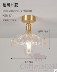 Ceiling light-D24*H15cm
