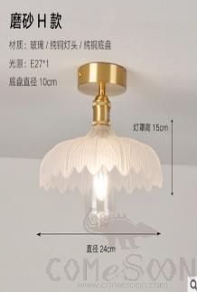 Ceiling light-D24*H15cm