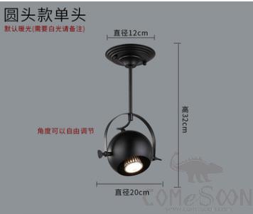 Ceiling light-D20*H32cm