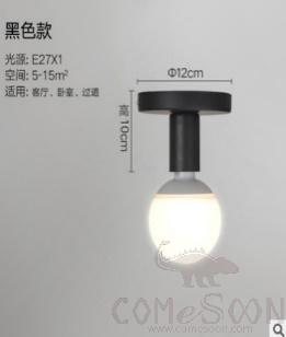 Ceiling light-D12*H10cm