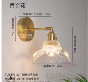 Wall Lamp-D20*H16cm