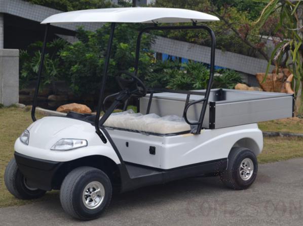 GOLF CART - GOLF BUGGIES 2 Seat w/rain cover - LT-A627.H8
