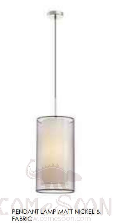 Pendant light