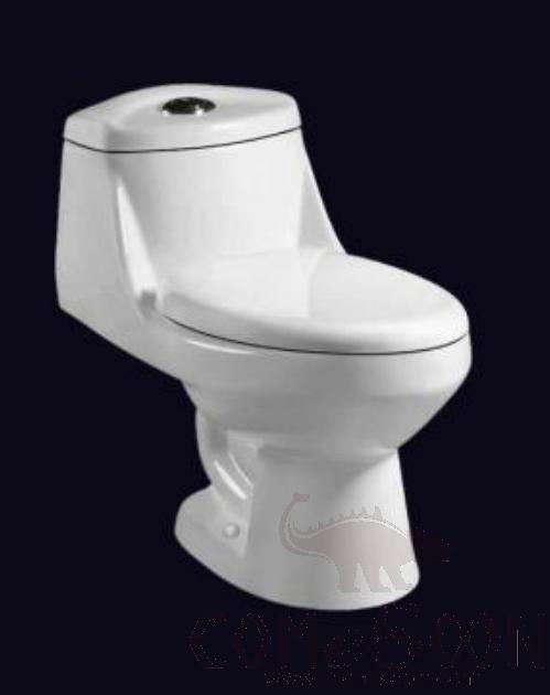 Siphon one-piece toilet