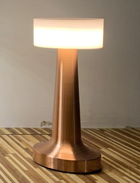 Metal desk lamp - warm white/ 100204