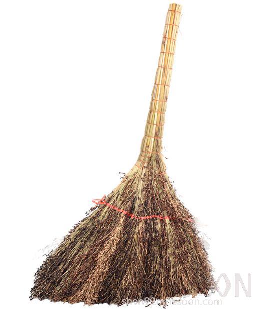 Thickened black sorghum seedling broom
