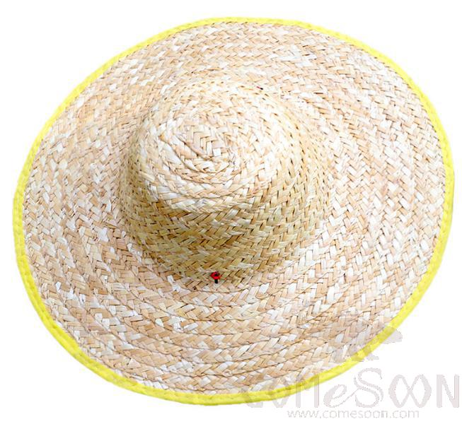 Primary straw hat