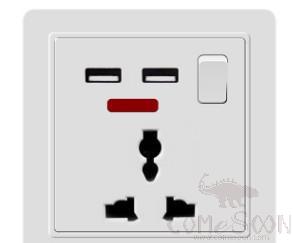 Socket with USB