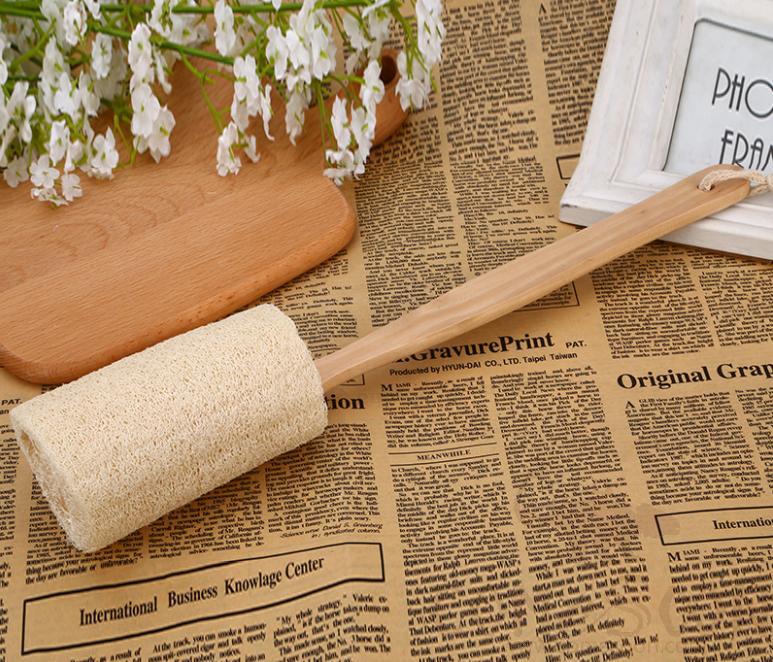 Loofah with handle