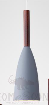 Pendant Light-D10.5*22cm