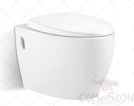 Wall-hung toilet-TT017