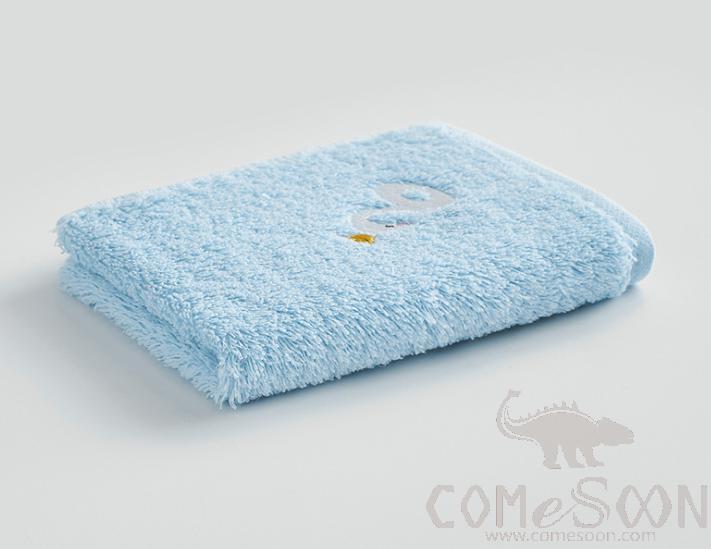 Terry Towel，Cotton，25*50 CM