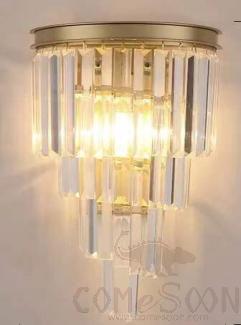 Wall Lamp-D250*430 MM