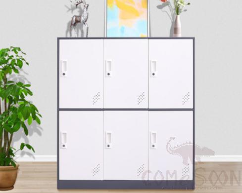 Cold rolled steel cabinet-six doors