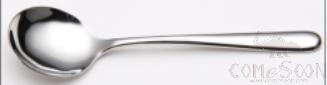 Soup Spoon  Customized LOGO,190mm,stainless steel 304