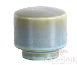 Salt Shaker