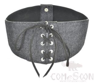 Belt-Canvas + metal