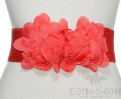 Belt-elastic band, woven fabric