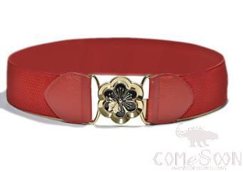 Belt-elastic band, metal
