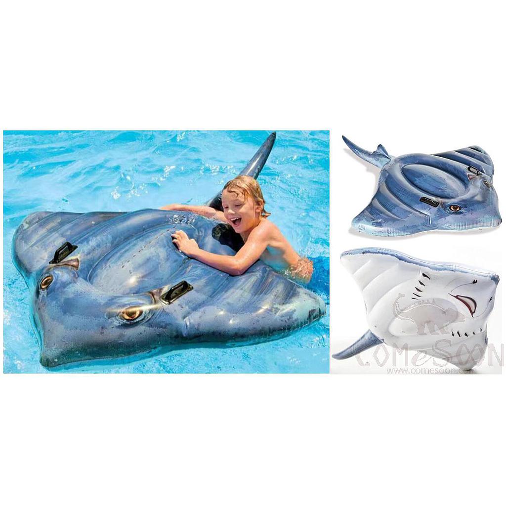 Inflatable mount - ray