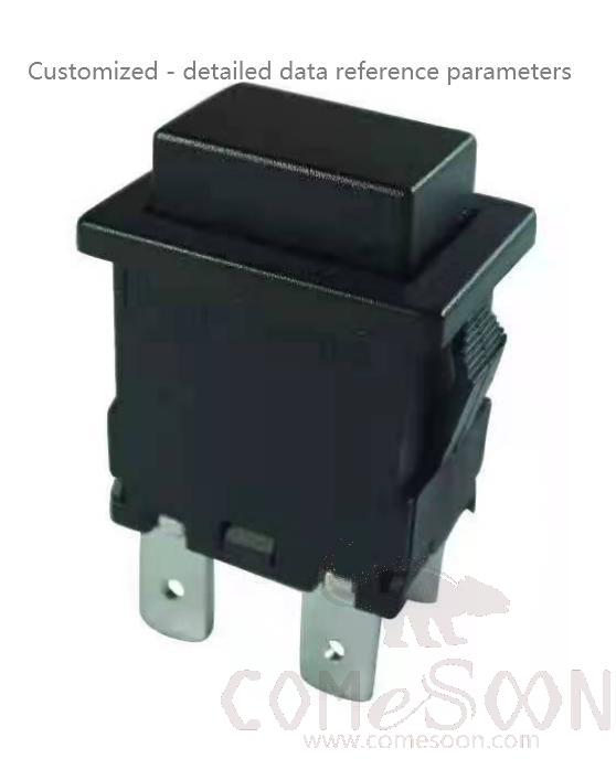Plug switch - Press - 12(10)A 250V AC