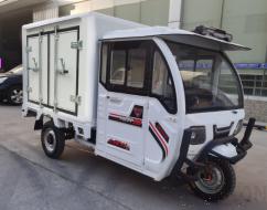 Refrigerated truck - totally enclosed - Lead acid dry battery - ABOUT1700L - Temperature control (- 18 ℃) - Mileage(60km) - No door design