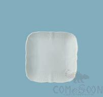 Bonechina Poya series Square Plate 6&quot;