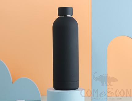 Vacuum S/S Water Bottle 500ml