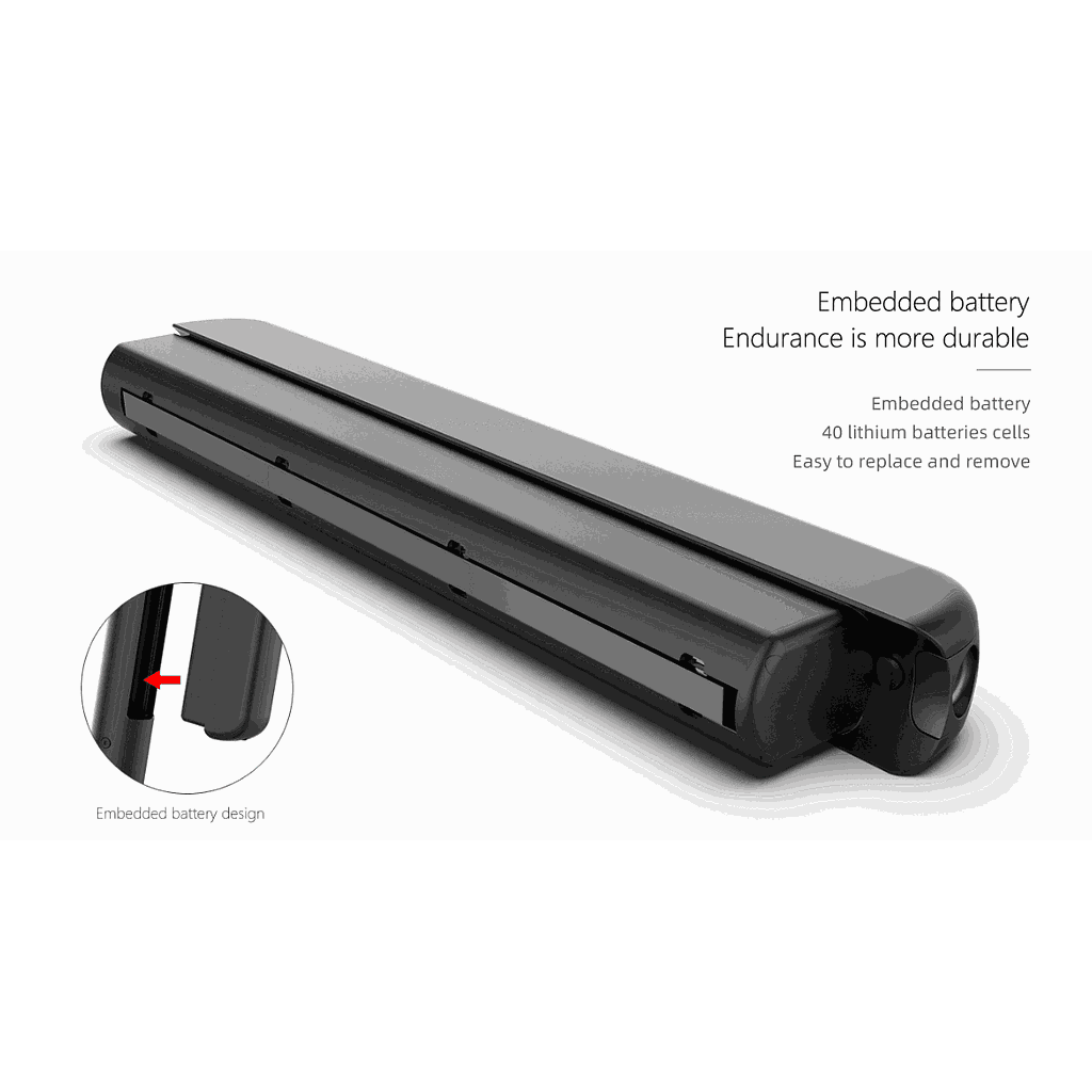 Foldable electric scooter-battery-36V/10AH