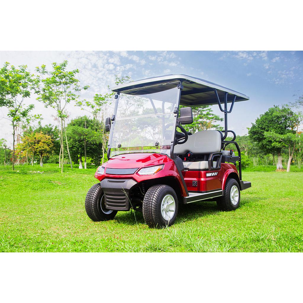 Golf Car - 2+2seat - 4KW - (80-100)km