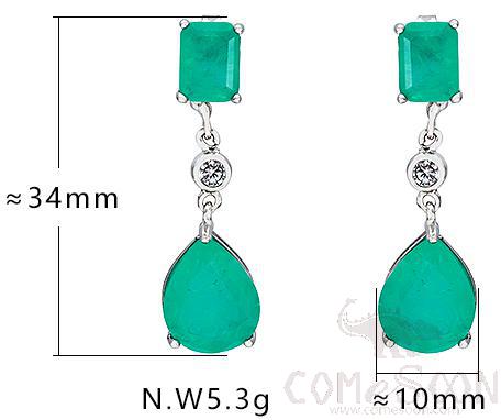 Earring / Dangler / Eardrop / Jewelry
XYE103909