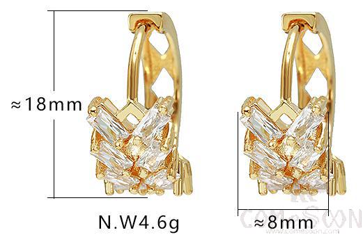 Earring / Dangler / Eardrop / Jewelry
XYE101910