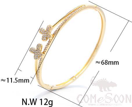 Bracelet / Bangle / Jewelry 
XYH100513