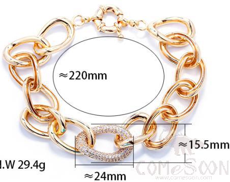 Bracelet / Bangle / Jewelry 
XYH100646